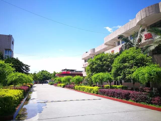 1494333551930385.jpg 05.jpg