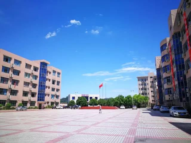 1494333596811363.jpg 07.jpg