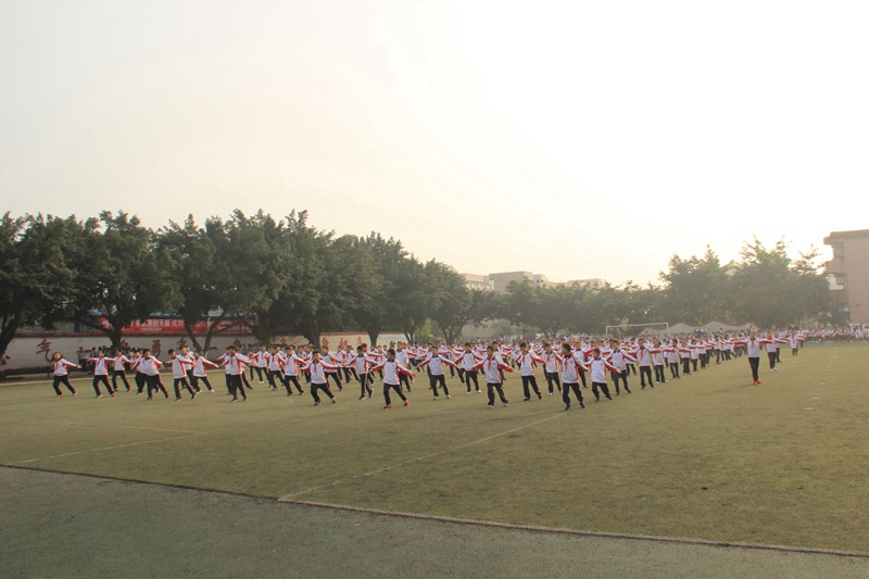 1510128313118089.jpg 01.jpg