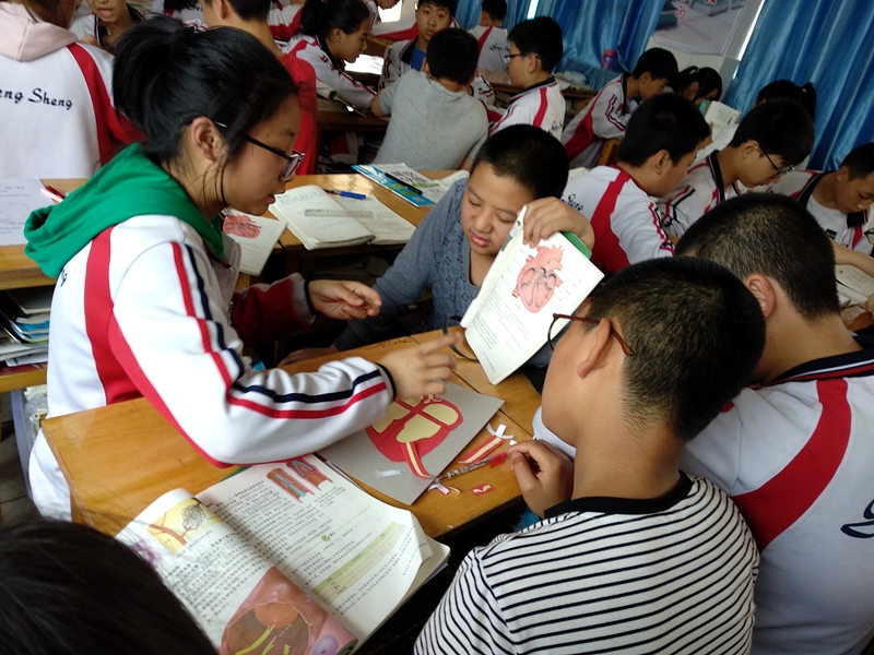 1524566699115084.jpg 01.jpg