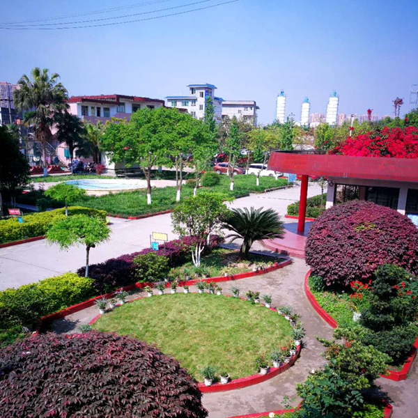 1525162043135006.jpg 00004.jpg