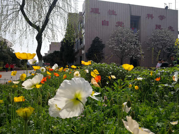 1525162051719795.jpg 00005.jpg