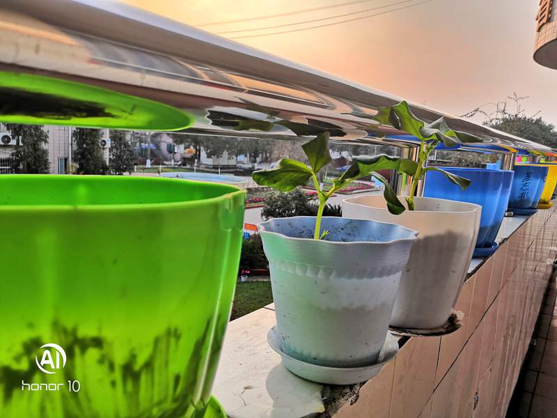 1547517939666940.jpg 287813507.jpg