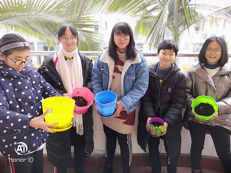 1547518000650246.jpg 1910112588.jpg