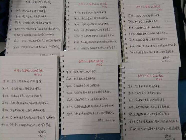 1550631056129356.jpg 17.jpg