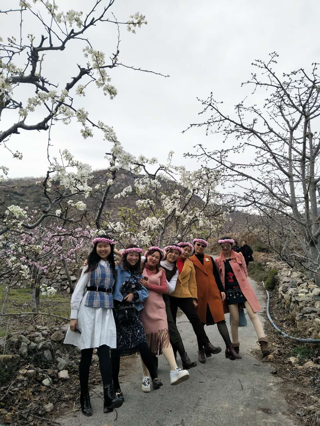 1553822851900237.jpg webwxgetmsgimg (1).jpg