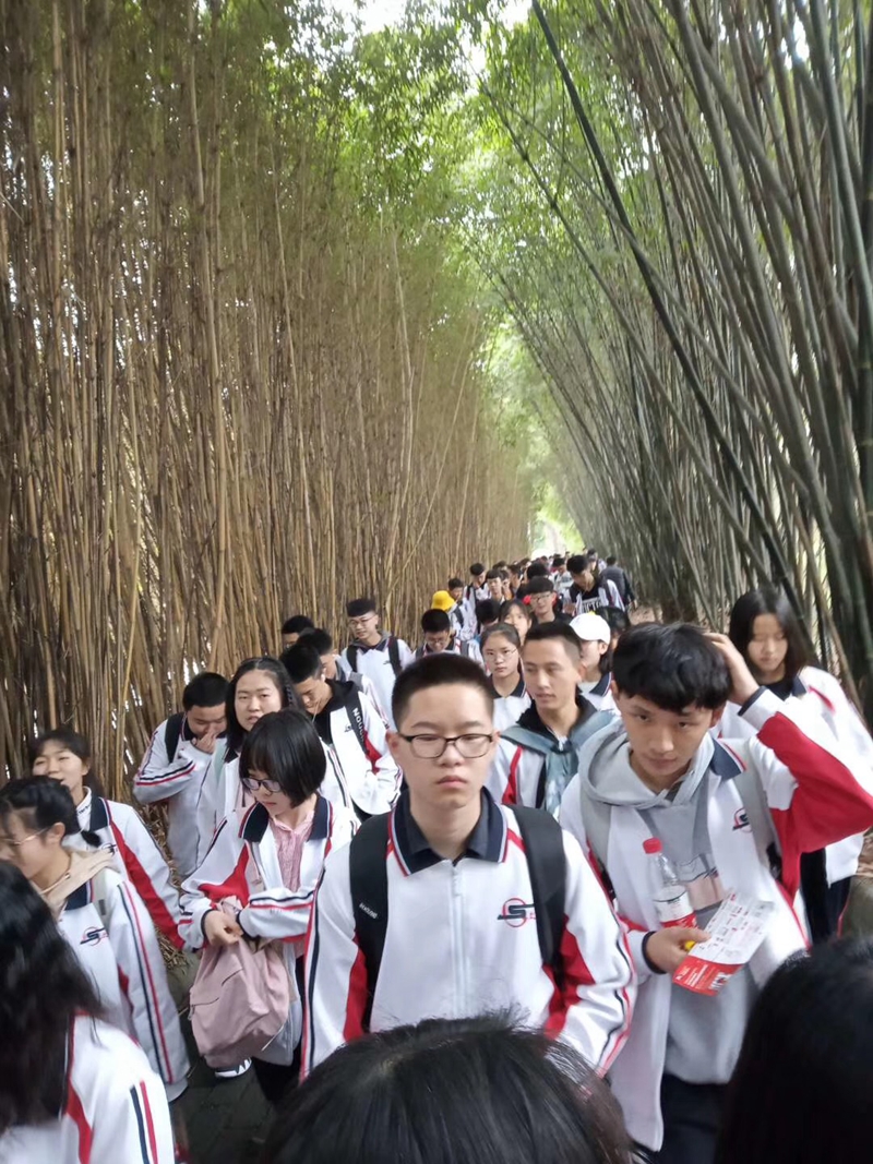 1554277680819079.jpg webwxgetmsgimg (9).jpg