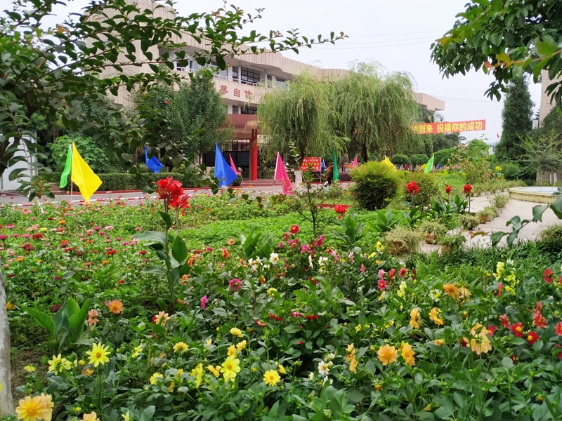 1567222817565709.jpg webwxgetmsgimg (6).jpg