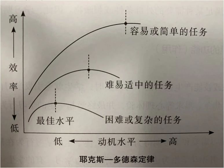 1584320701695890.jpg 45.jpg